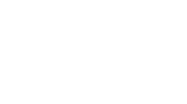 CleanWall24